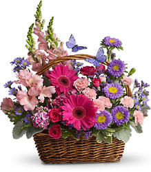 Country Basket Blooms from Walker's Flower Shop in Huron, SD